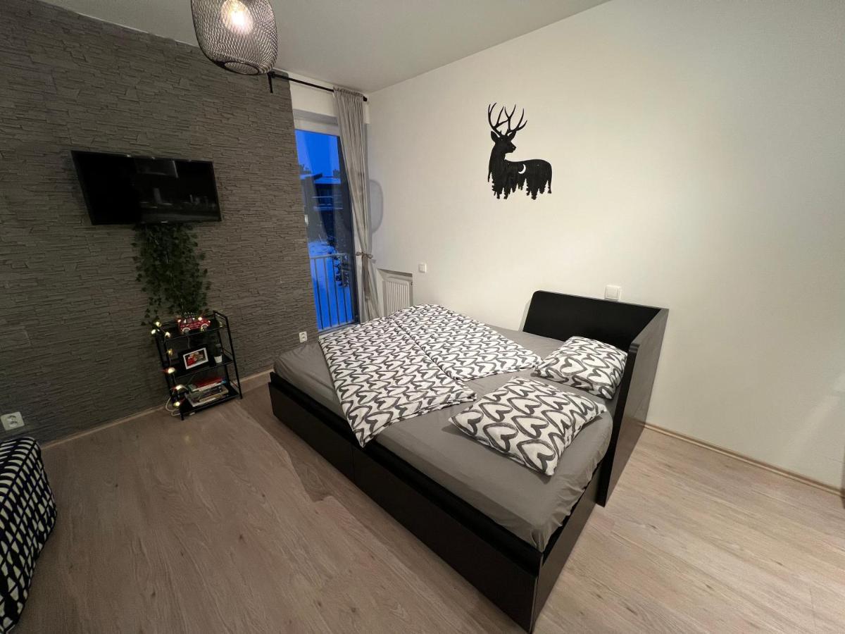 New Nelis Apartment Klinovec Loučná pod Klínovcem Buitenkant foto